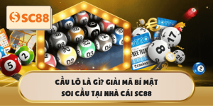 Cầu lô là gì? Giải mã chiến thuật soi cầu SC88